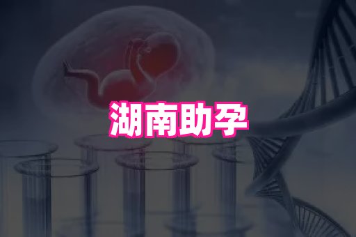 厦门助孕网站 1