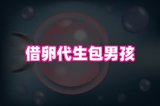 厦门助孕网站 3