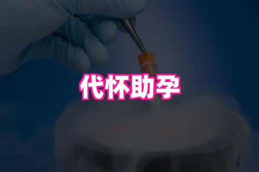 厦门助孕网站 4